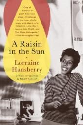 Imagen del póster del libro A Raisin in the Sun