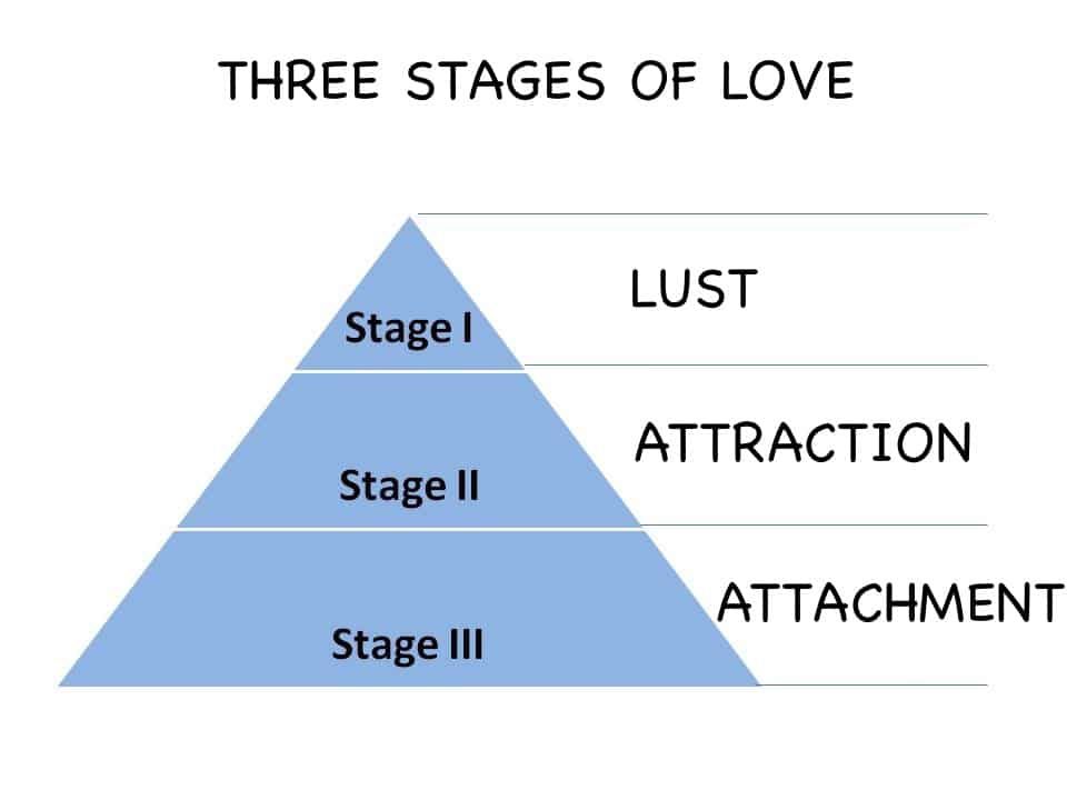 stadier af kærlighed
