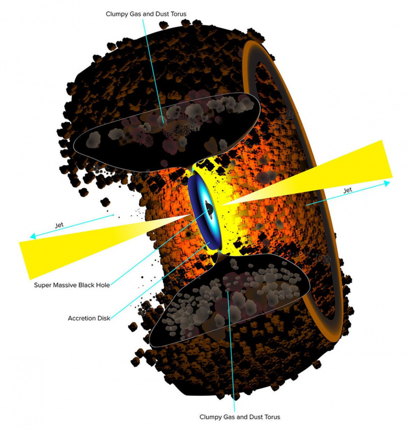 Shematiski parādīts aktīvās galaktikas centrs, kur akrecijas disks baro supermasīvu melno caurumu, un abus ieskauj milzīgs putekļu tornis. Kredīts: Bils Sakstons, NRAO/AUI/NSF