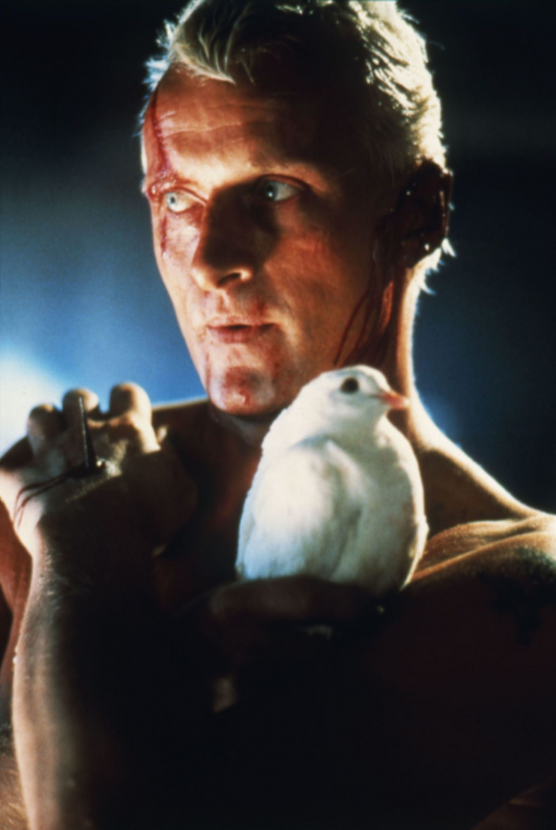 В Blade Runner, Rutger Hauer ни научи на горчиво -сладката природа на смъртността