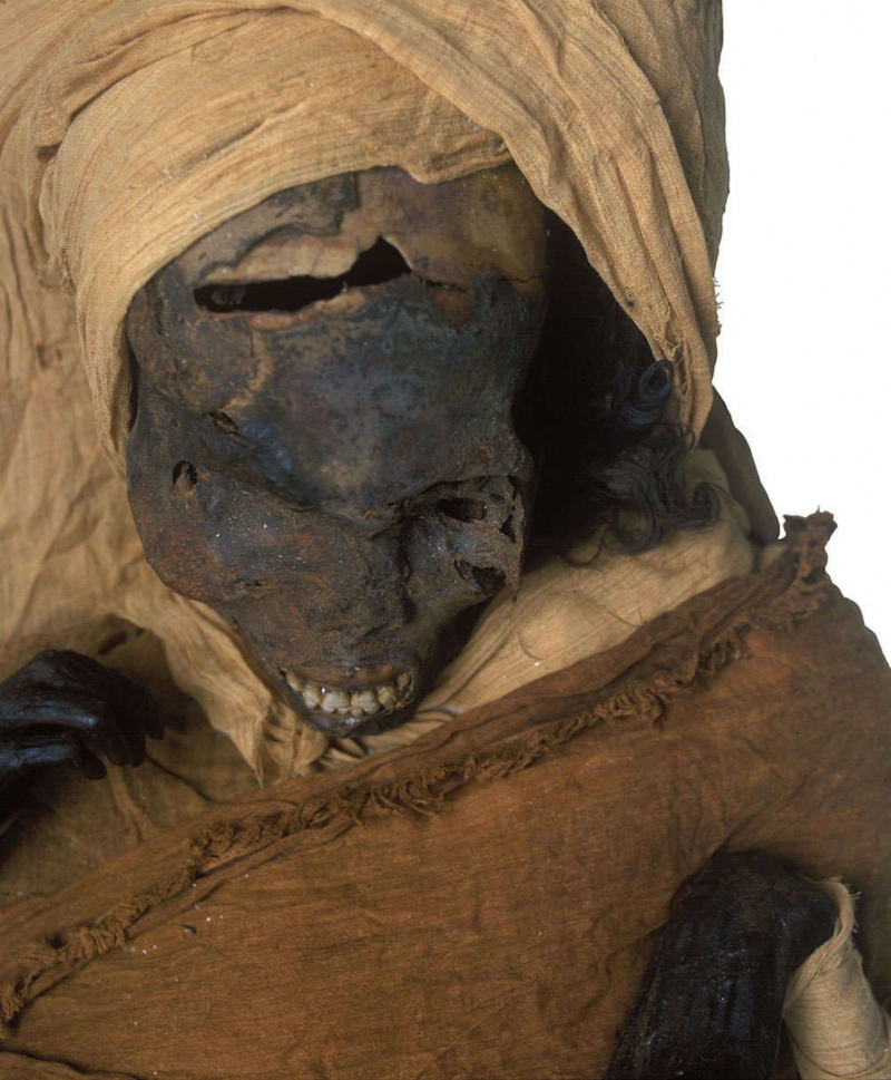 Мумията разкрива как египетският фараон е бил брутално убит в древна война, причинена от хъркане на хипопотами