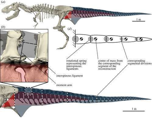 Vabandust, Jurassic Parki tagaajamise fännid! Uus uuring näitab, et T-Rex ei olnud tuntud oma sprindioskuste poolest