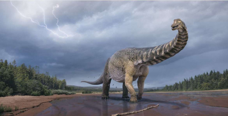 Νέα μεγάλα είδη δεινοσαύρων που ανακαλύφθηκαν στην Αυστραλία είναι ένα από τα μεγαλύτερα στον κόσμο που έχουν βρεθεί ποτέ