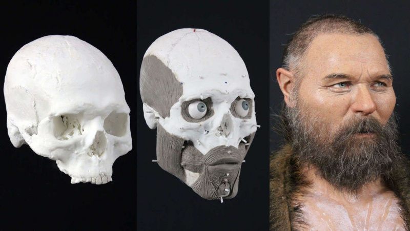 reconstructie van de Mesolithische mens