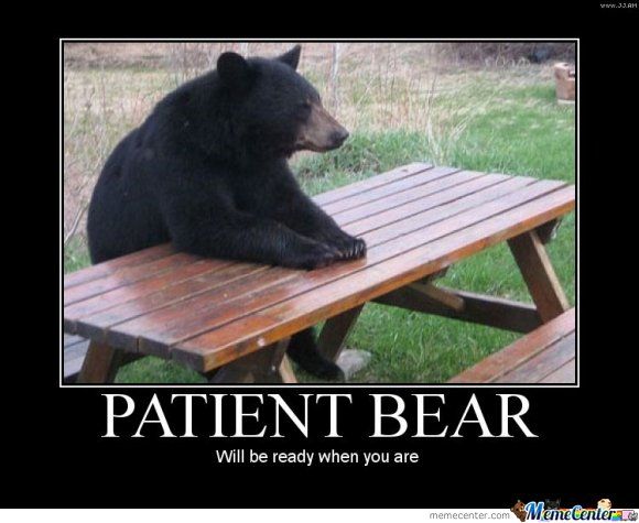 urso paciente