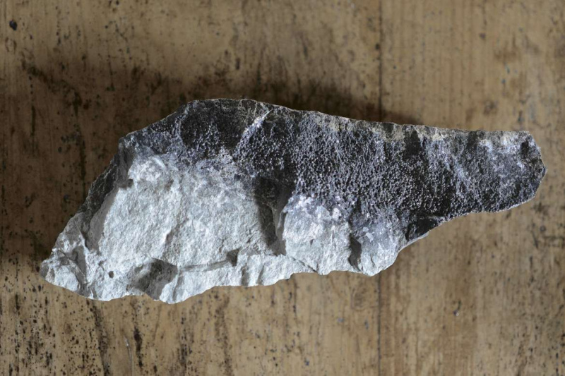 Последствията от този астероид, заличаващ динозаври, са точно под Луизиана