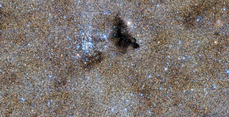 En underseksjon av undersøkelsesbildet (nær midten av toppen) viser stjerner i en klynge nær en tett lomme med ugjennomsiktig interstellært støv.