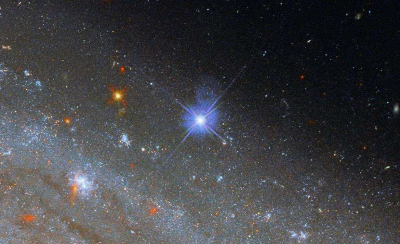 Supernova SN 2019NP (s središčem) je eksplodirala v galaksiji NGC 3254, Hubble pa so uporabili za opazovanje nje in zvezd okoli nje, da bi natančneje izmerili njeno razdaljo. ESA/Hubble & NASA, A. Riess et al .; CC BY 4.0
